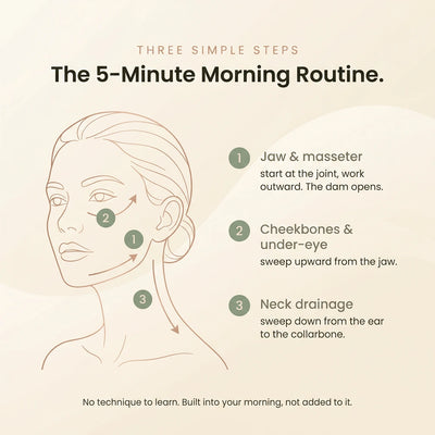 How to use — the 5-minute morning protocol